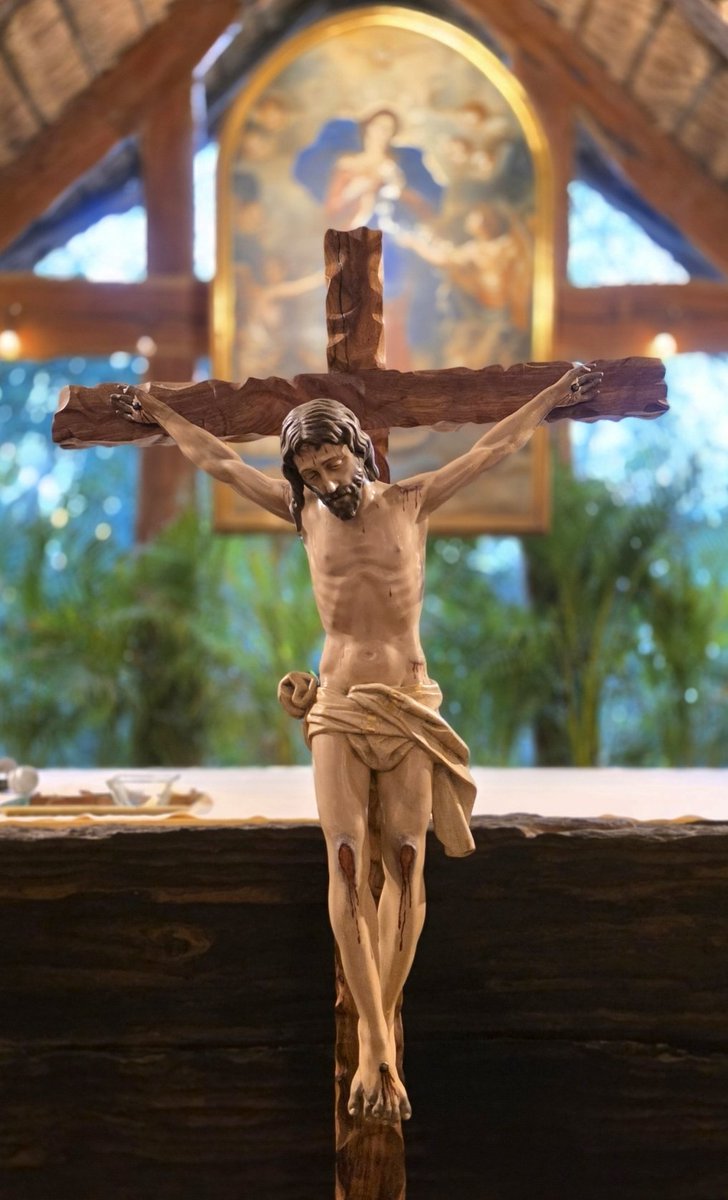 armanii :D tweet media