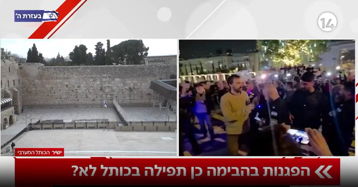 טל מאיר tweet media