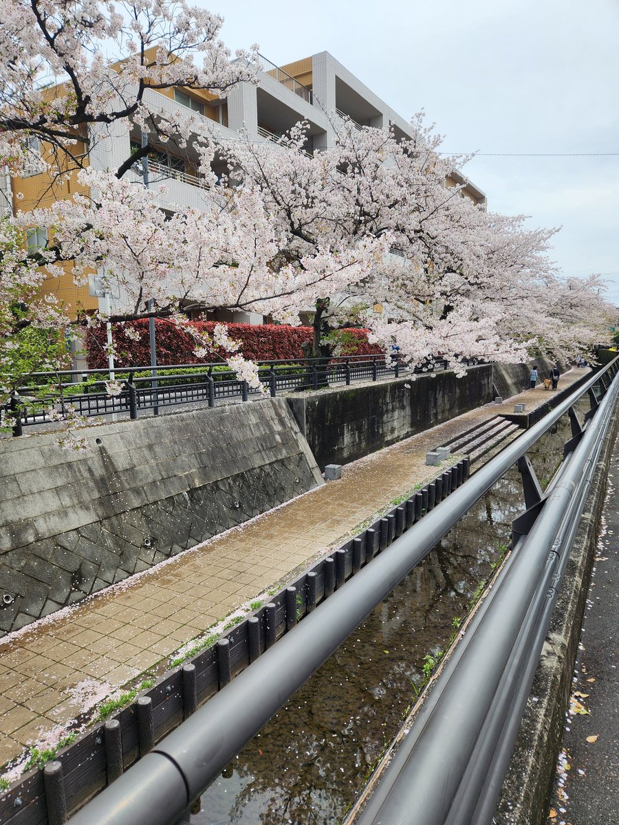 ちゃおん🦁🐧🐢💖🫧🤍BMSG tweet media