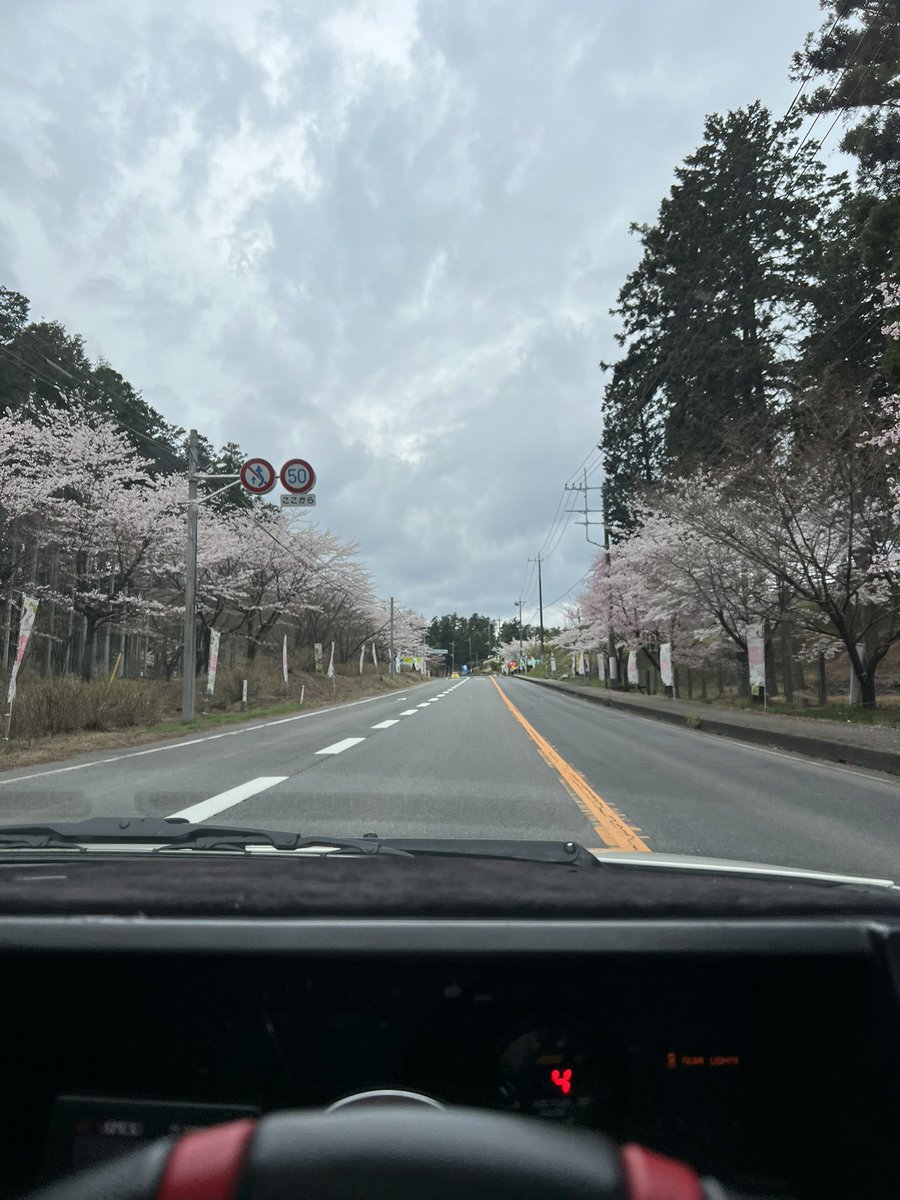 きょう tweet media