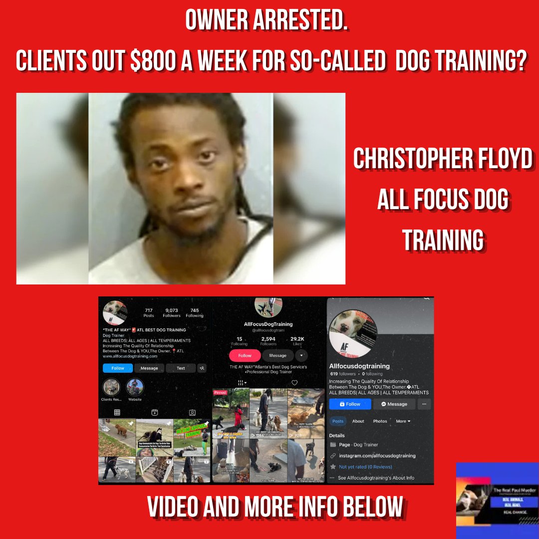 Paul Mueller tweet media