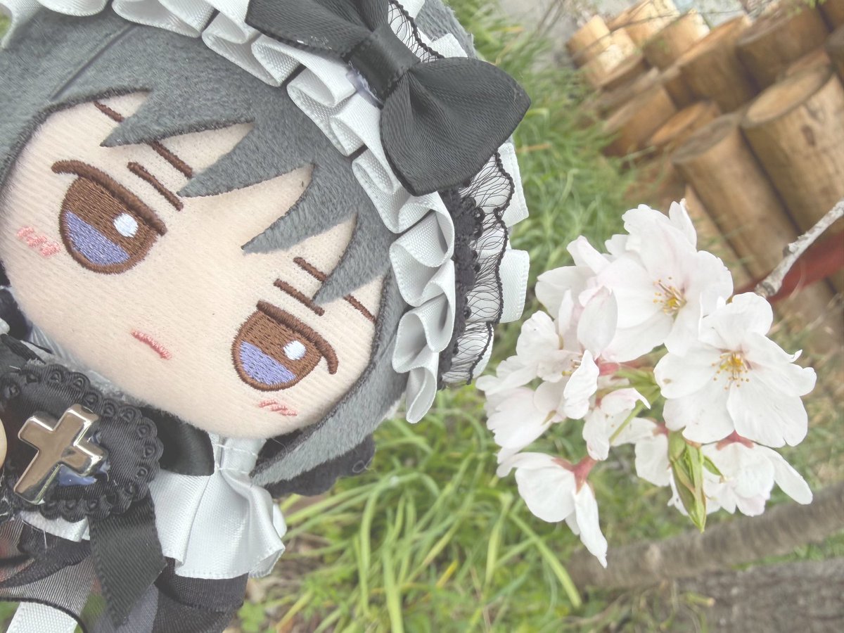 ちゅる tweet media