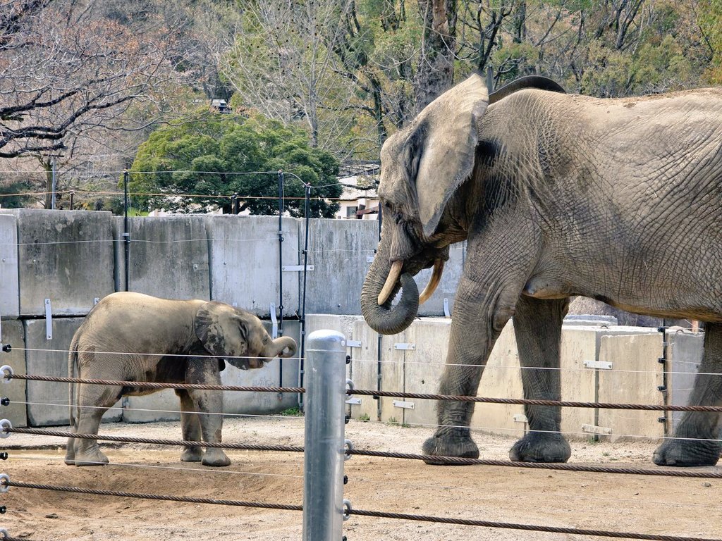 404 not found tweet media