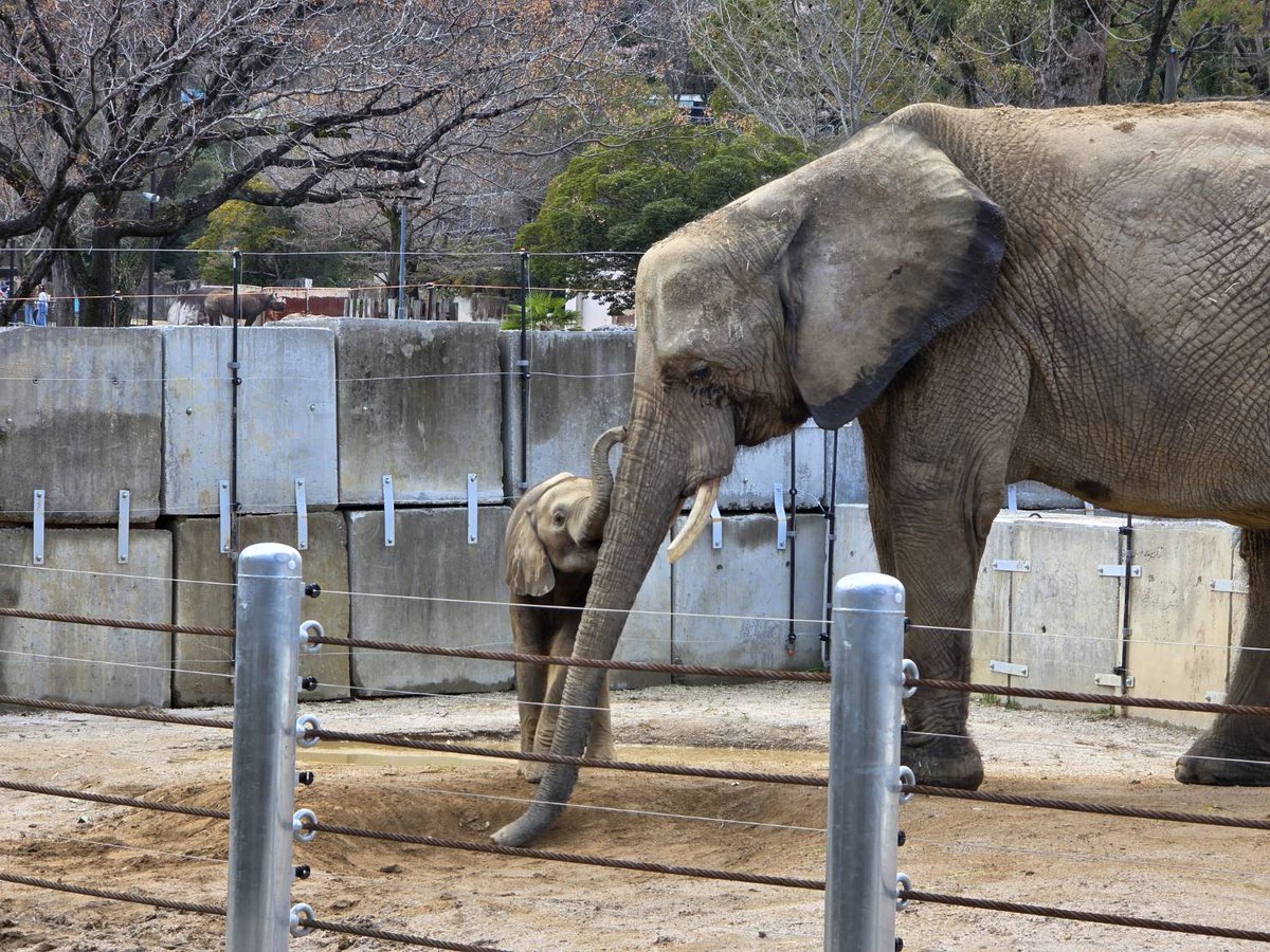 404 not found tweet media