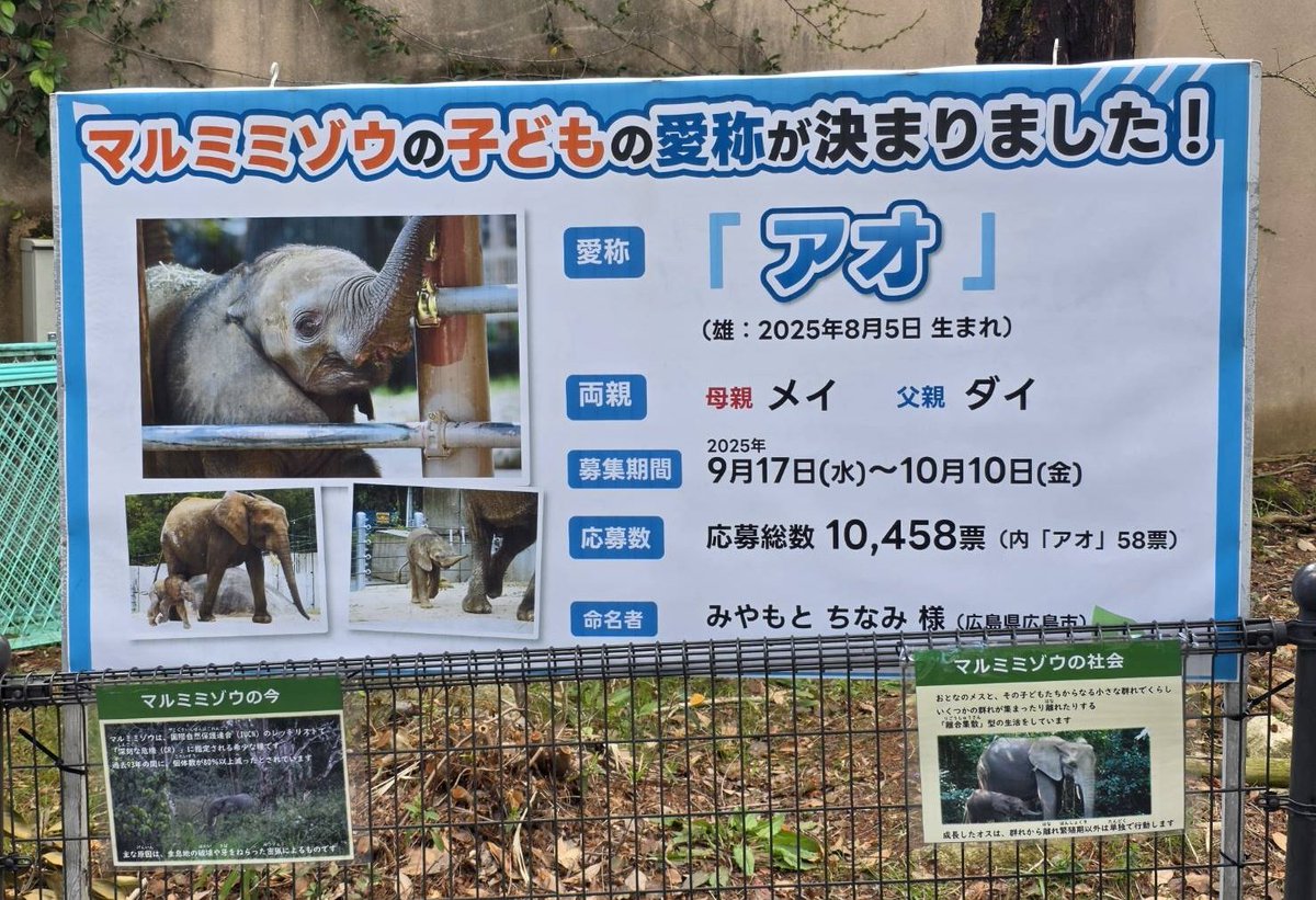 404 not found tweet media