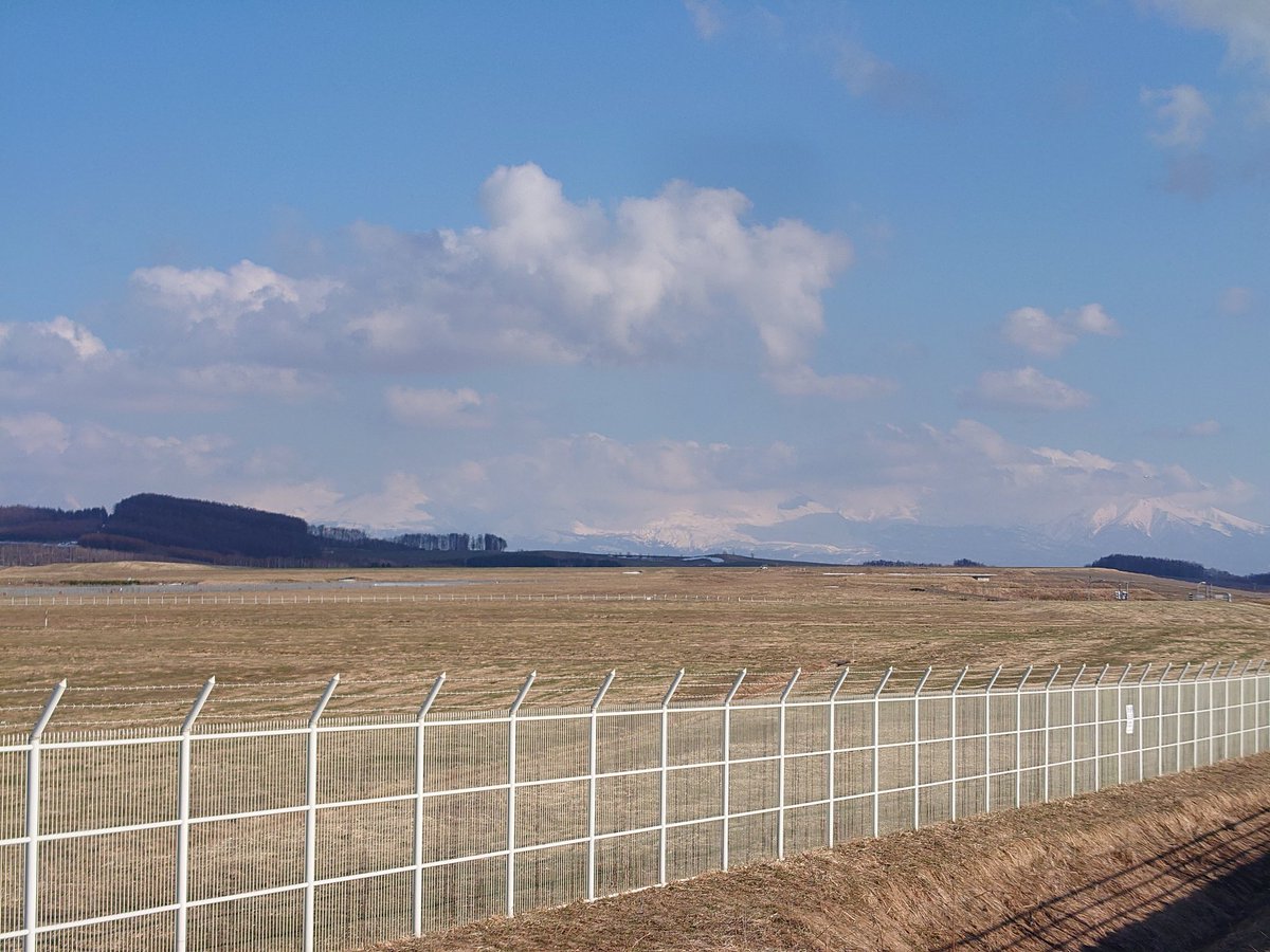 どれっどの～と@FF11狼鯖 tweet media