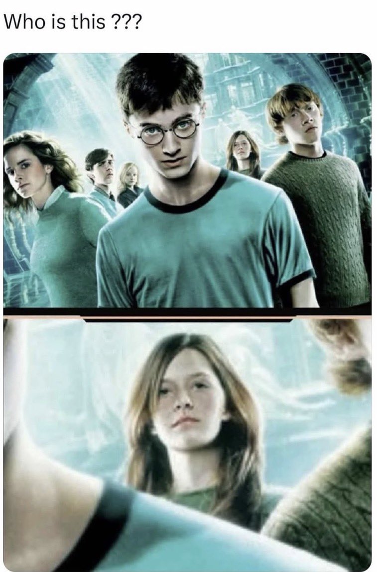 PotterWorldwide tweet media