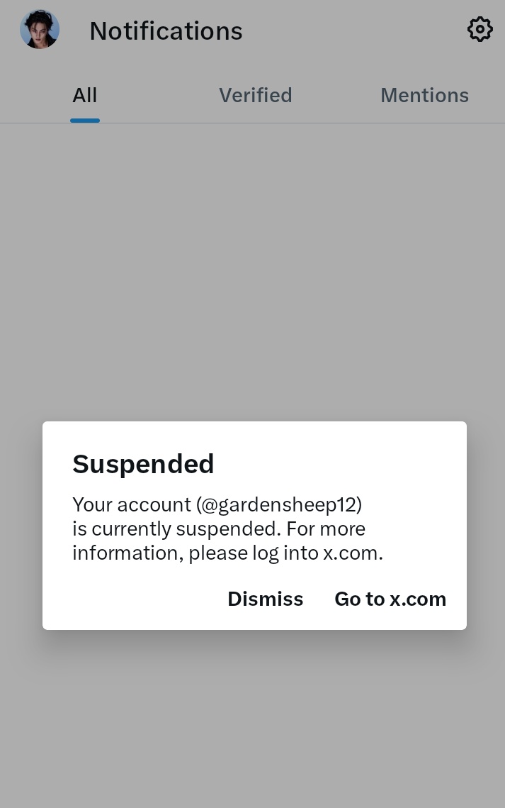 zia 🫧 tweet media