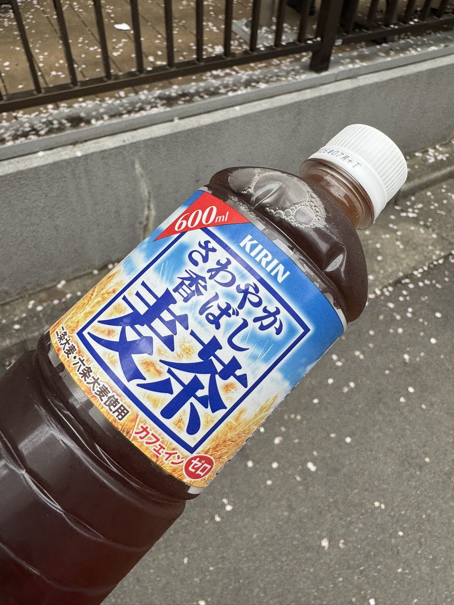 Z李 🇺🇦 NO WAR 🕊 tweet media