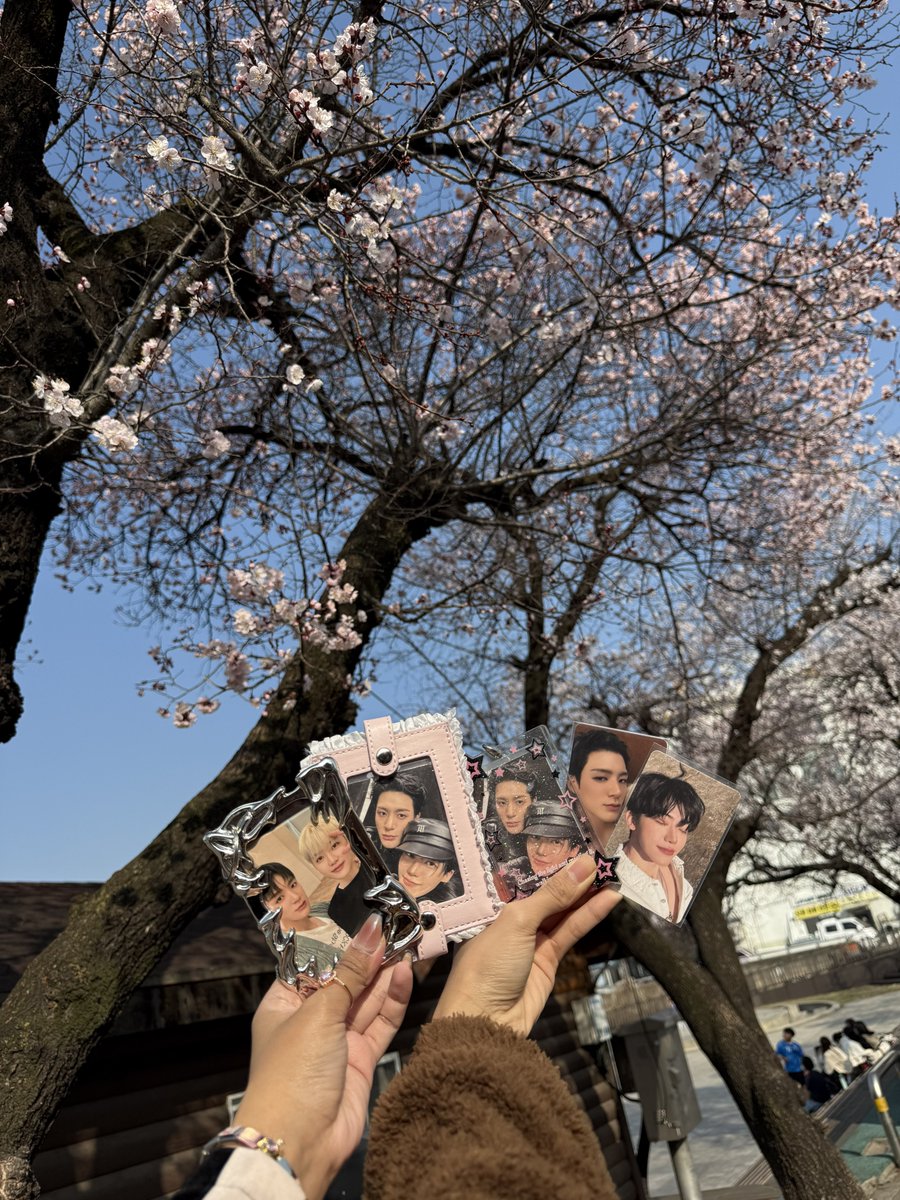 ・゚✧ ana | NCT JNJM DEBUT tweet media