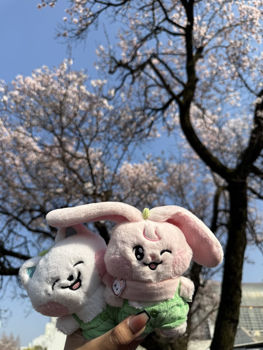 ・゚✧ ana | NCT JNJM DEBUT tweet media