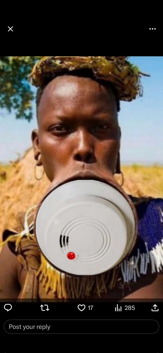 SECRET AGENT ELF tweet media