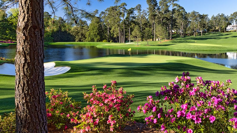 James Steel a.k.a Tennis Ranter tweet media