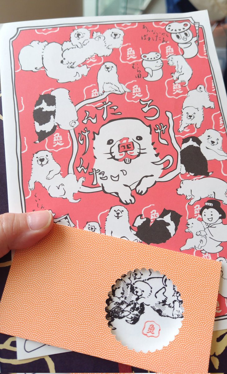 せらしーん🐰 tweet media