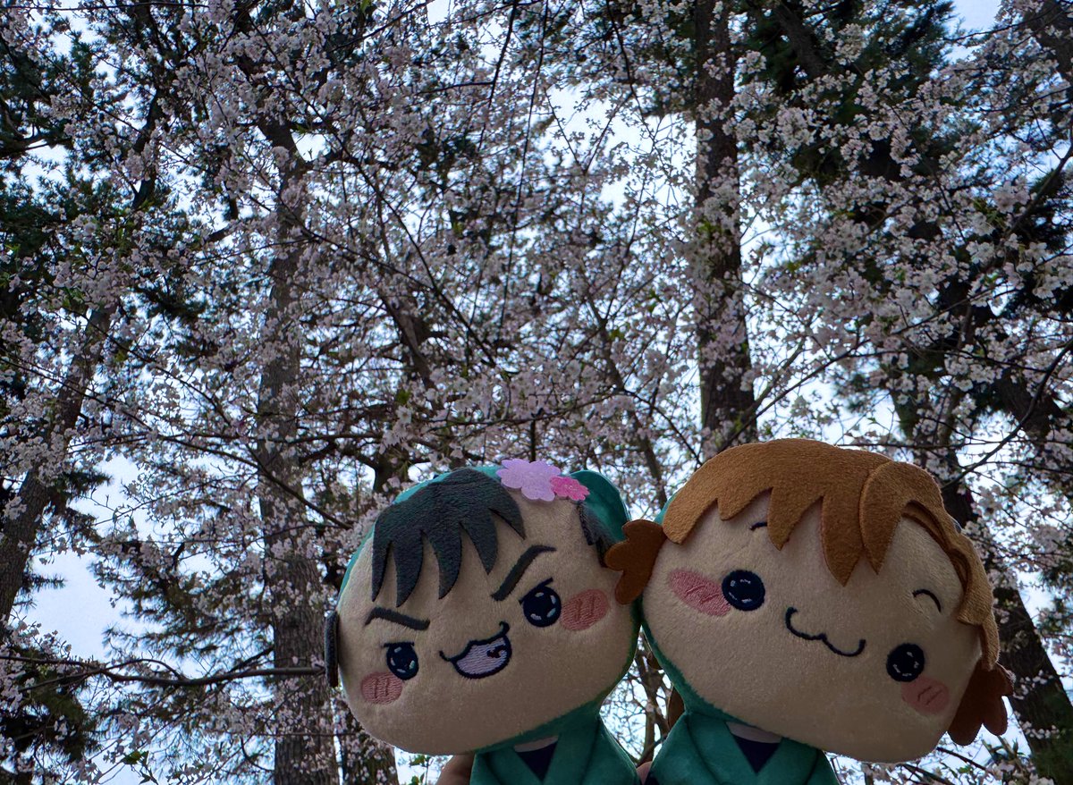 ゆう83 tweet media