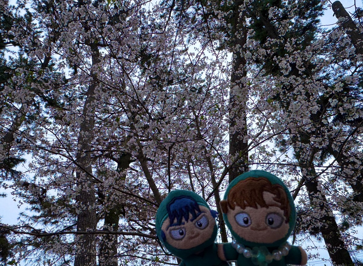 ゆう83 tweet media