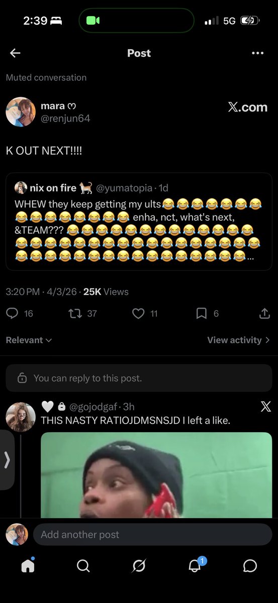 mara ᰔ tweet media