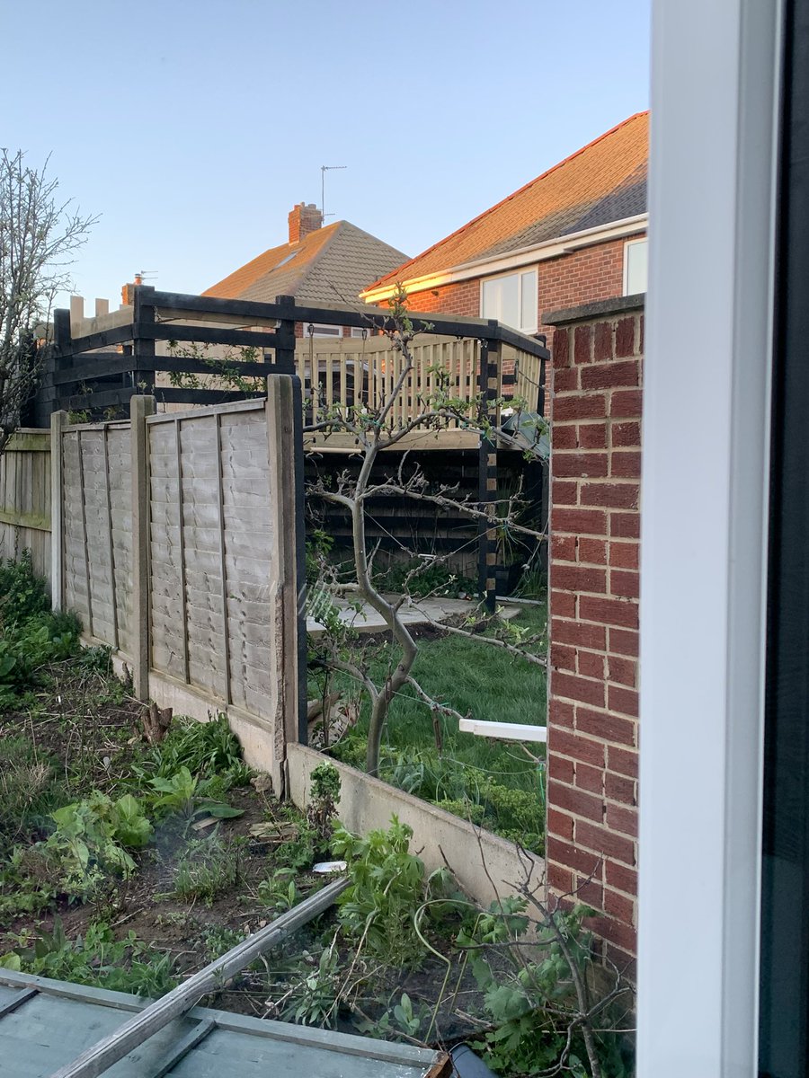 jackie harrison tweet media