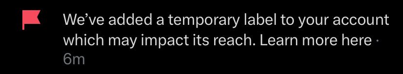 𝐓𝐇𝐄 𝐁𝐎𝐏𝐍𝐈𝐓𝐑𝐈𝐗! tweet media