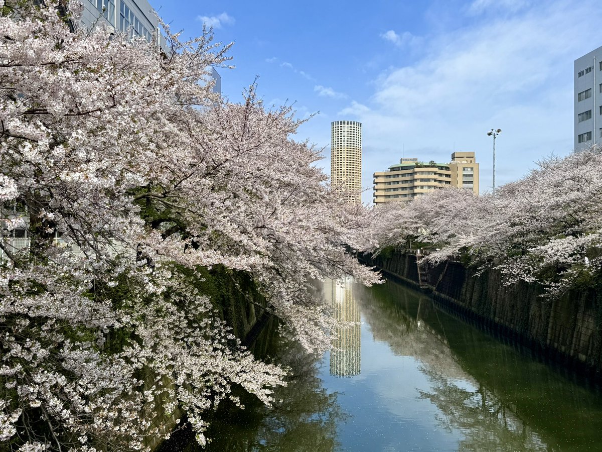 池沢理美 tweet media