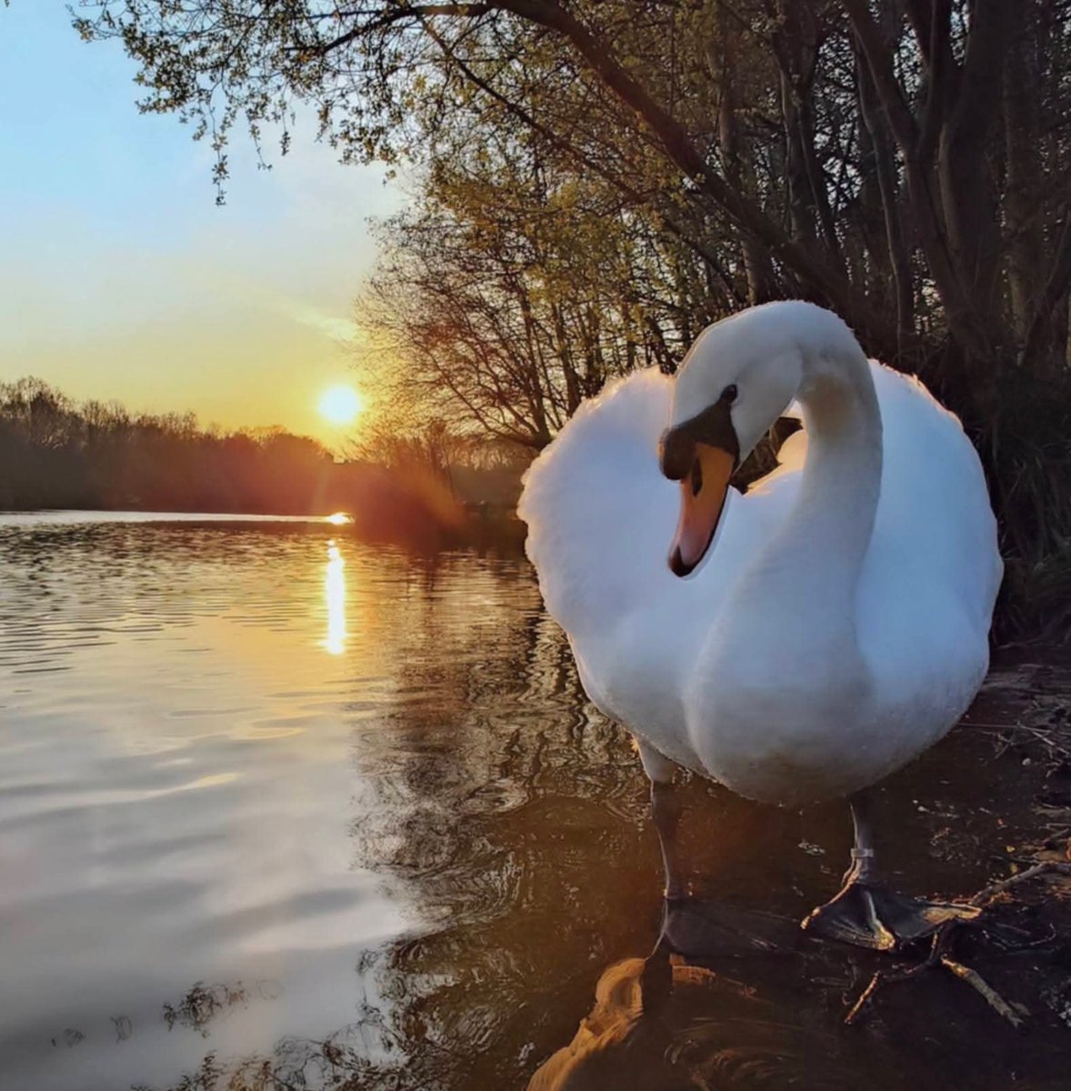 MonicaCrimmins's tweet image. This lovely memory popped up on Google photos.  A year ago today.  Chorlton water park #Manchester