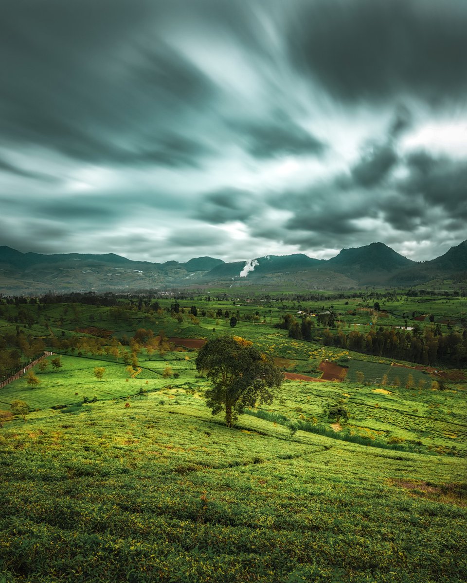 R.Suguri tweet media