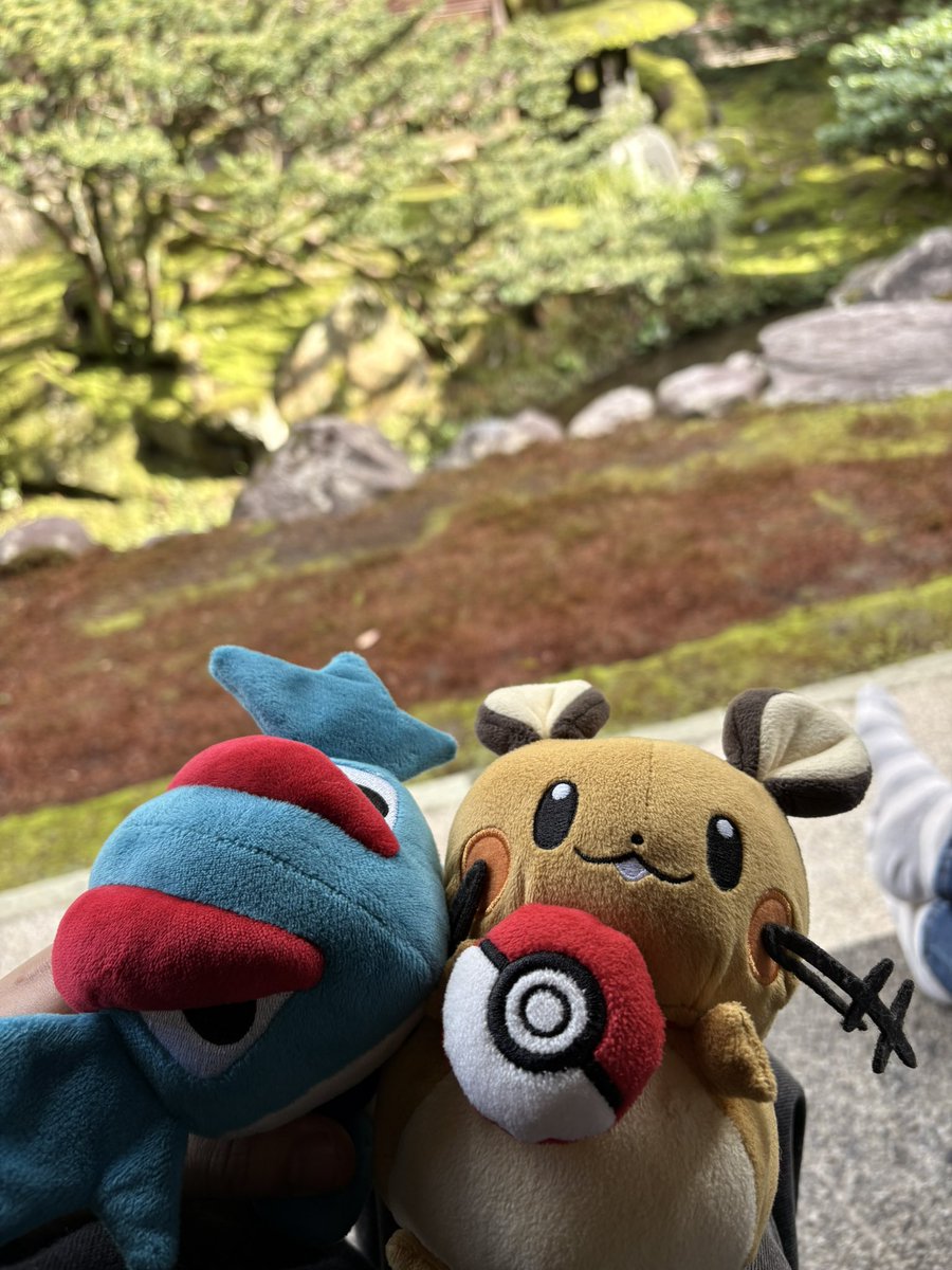 ぼーまんだをたおしたい tweet media