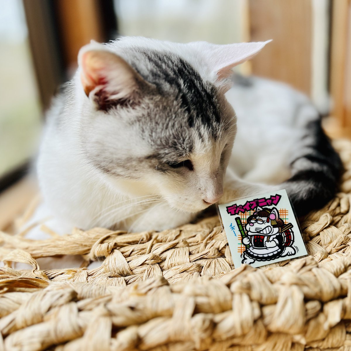 l く lく @デペイズマン tweet media