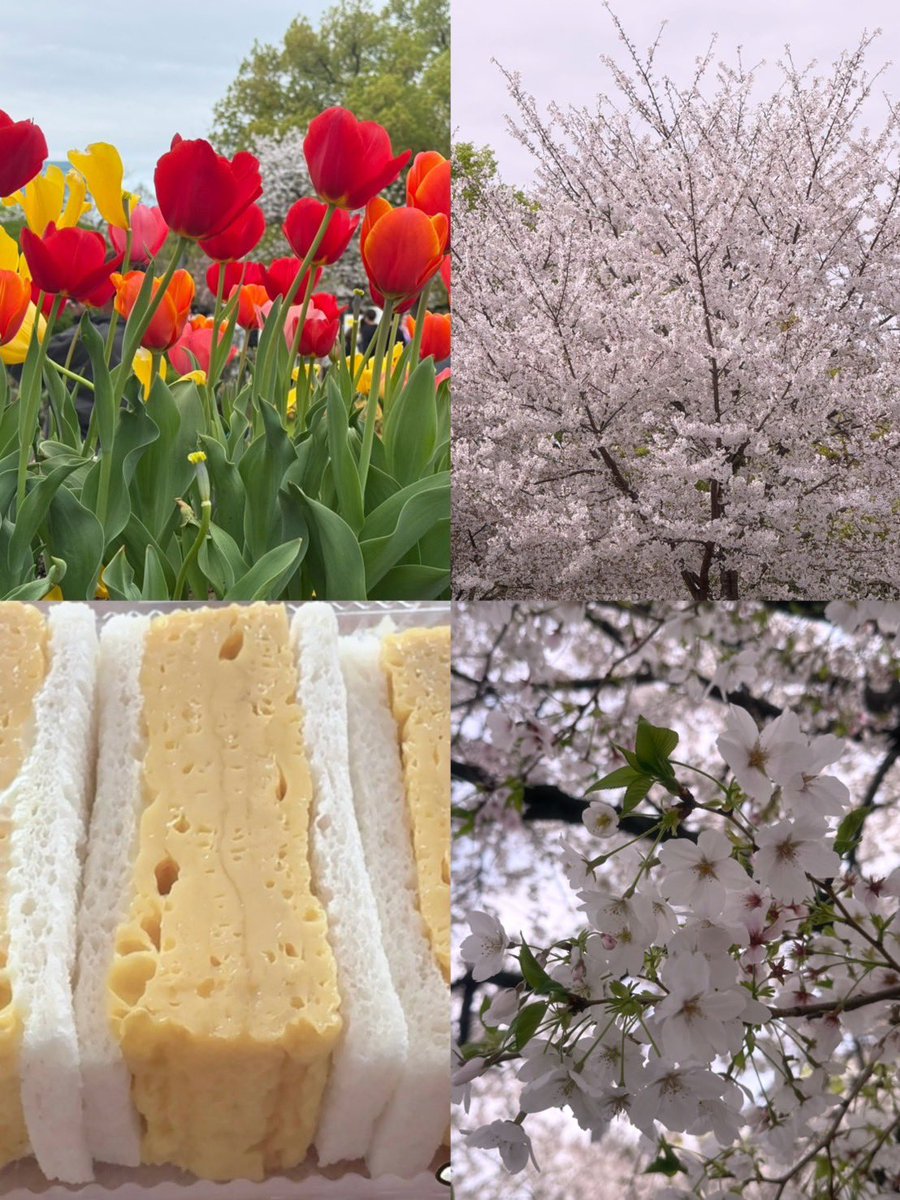 リラタฅᐡ•ﻌ•ᐡฅ tweet media