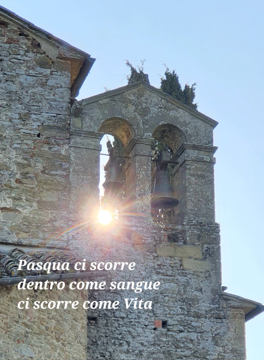 Massimo Pampaloni SJ tweet media