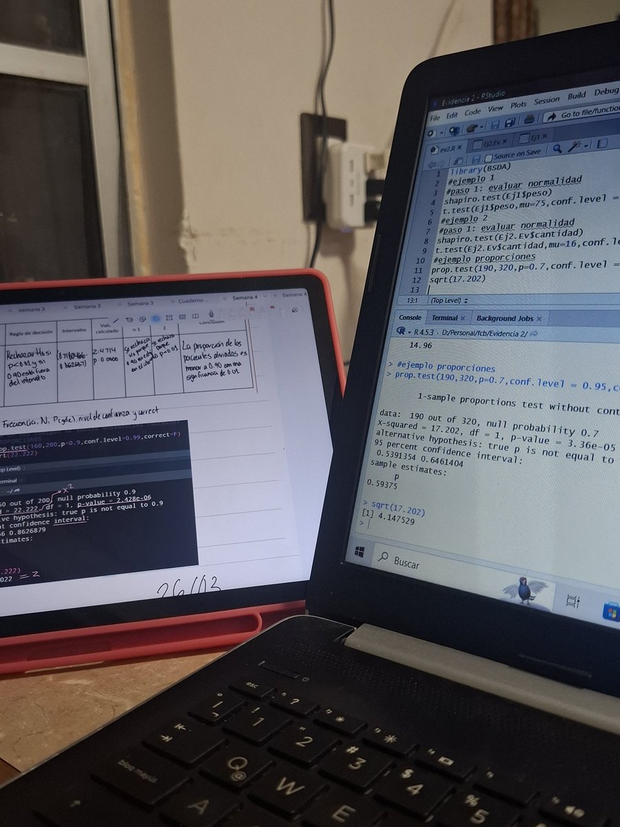 luisa 🪷 tweet media