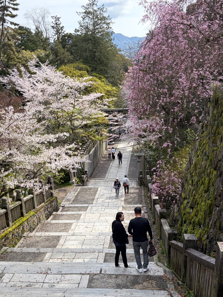 Ménerlache tweet media