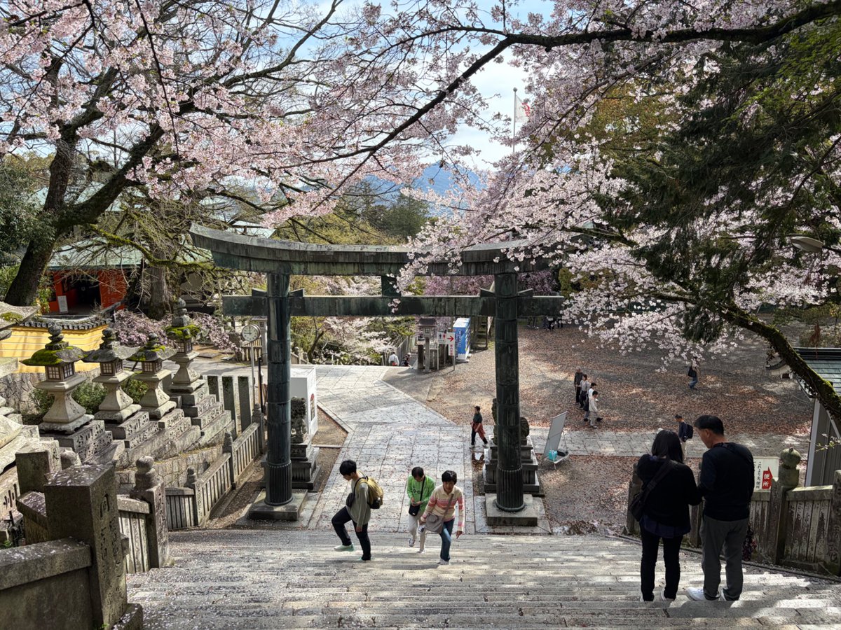 Ménerlache tweet media