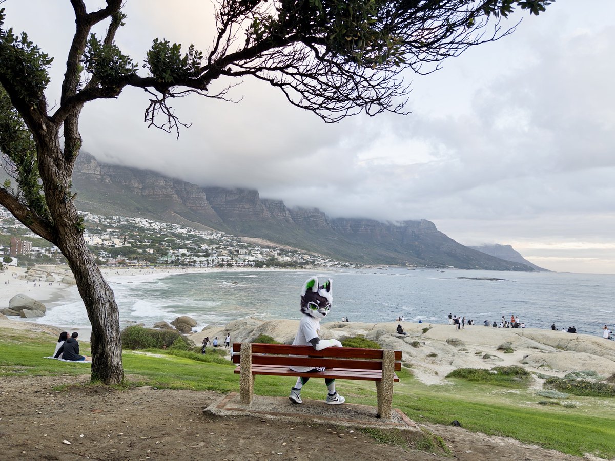 如影🐺 🔜 毛了个毛/hf tweet media