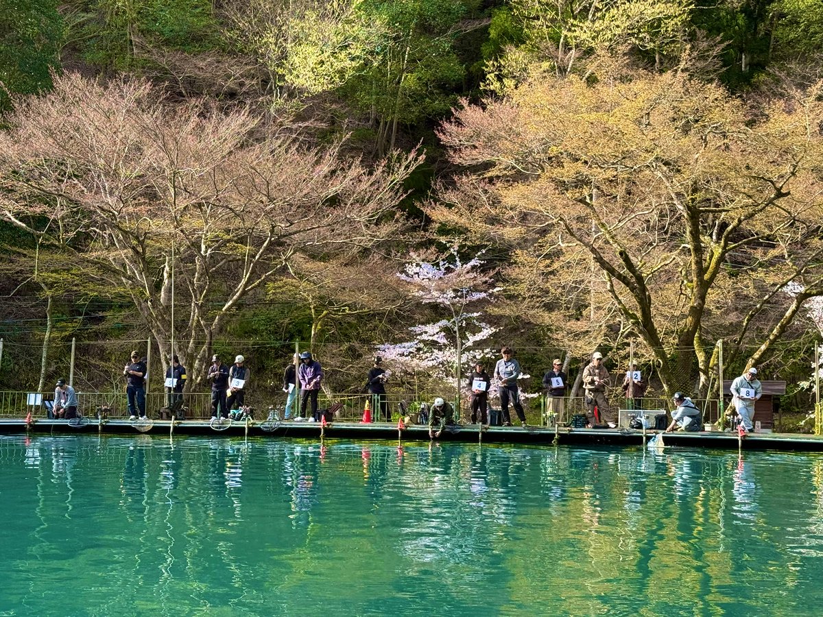 ポンテーン tweet media