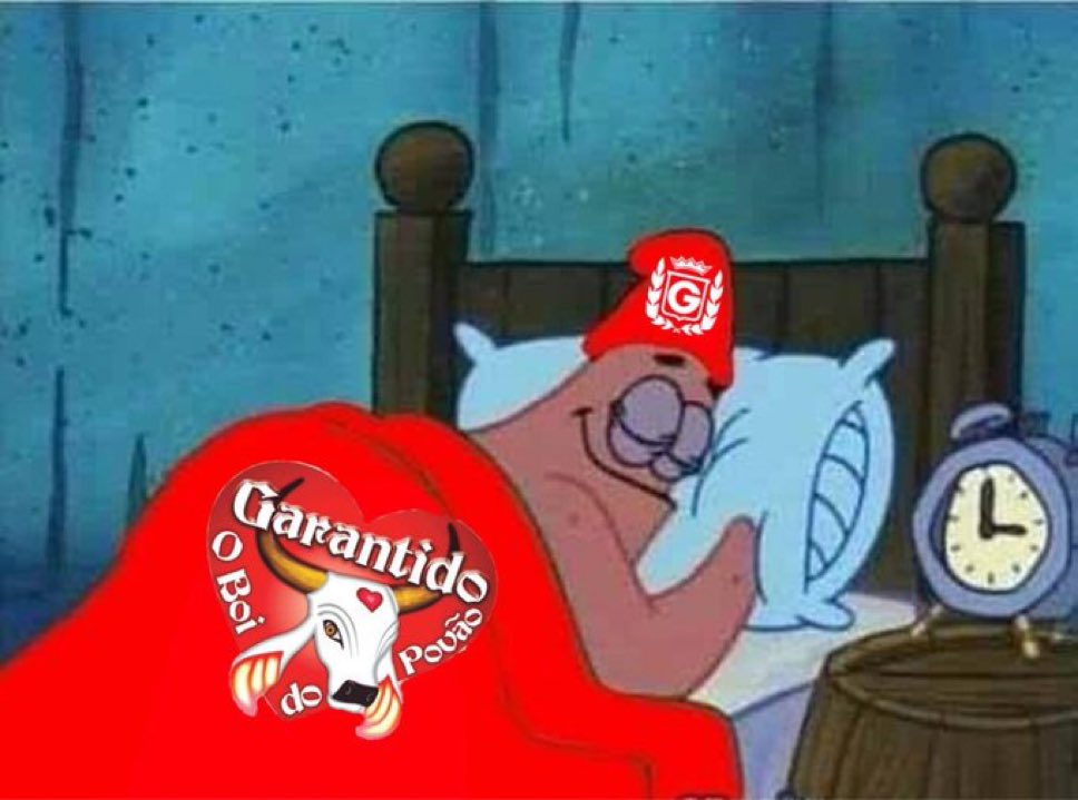 Boi Garantido tweet media