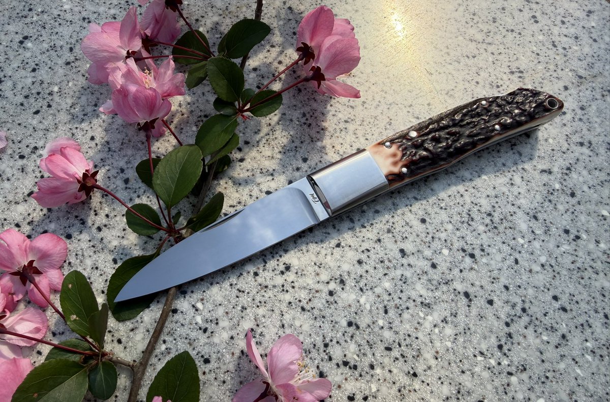 まほ〜 tweet media