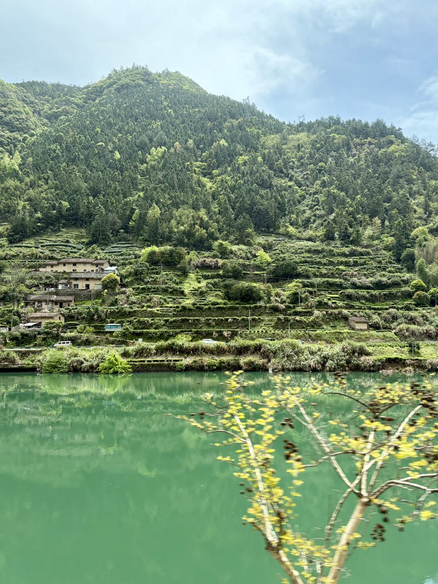 偷偷大王 tweet media