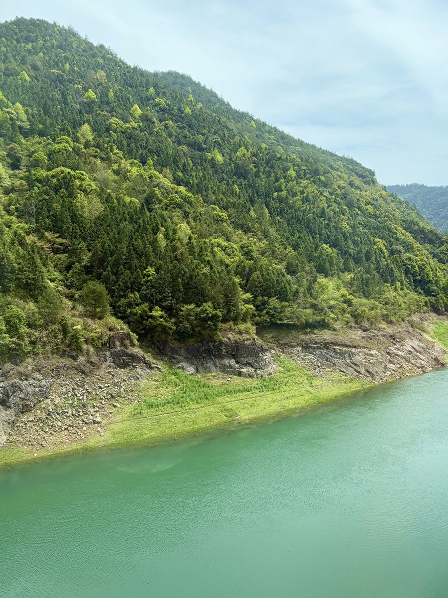 偷偷大王 tweet media