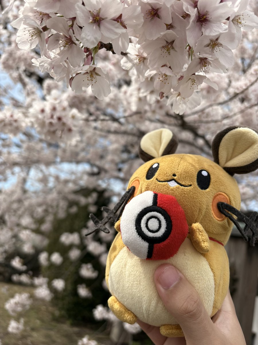 ぼーまんだをたおしたい tweet media