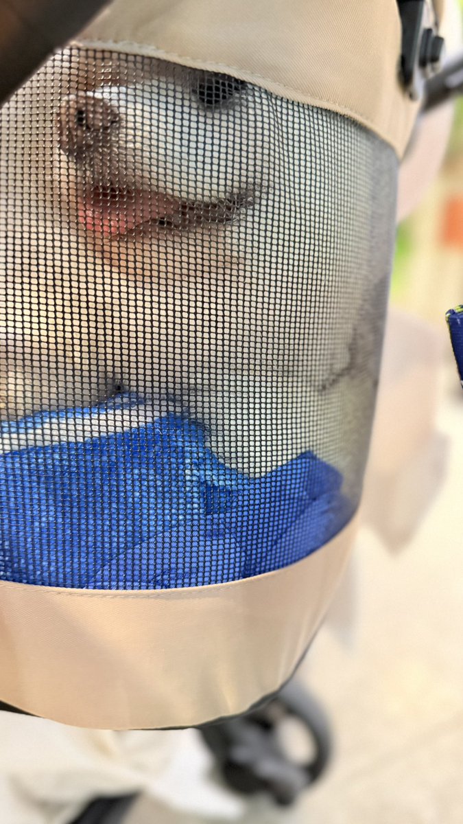 engfastudio 🧸📷 tweet media