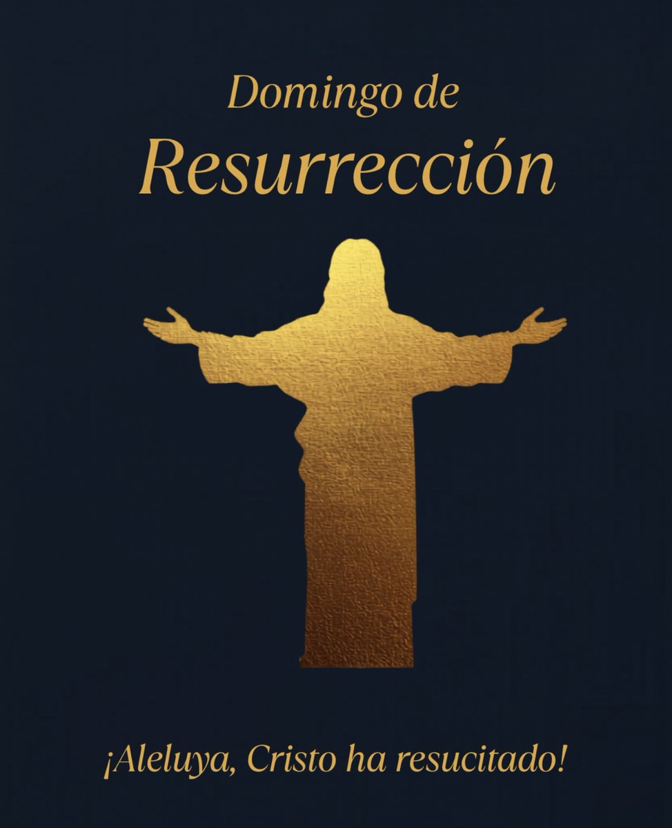 Delsa Solorzano tweet media