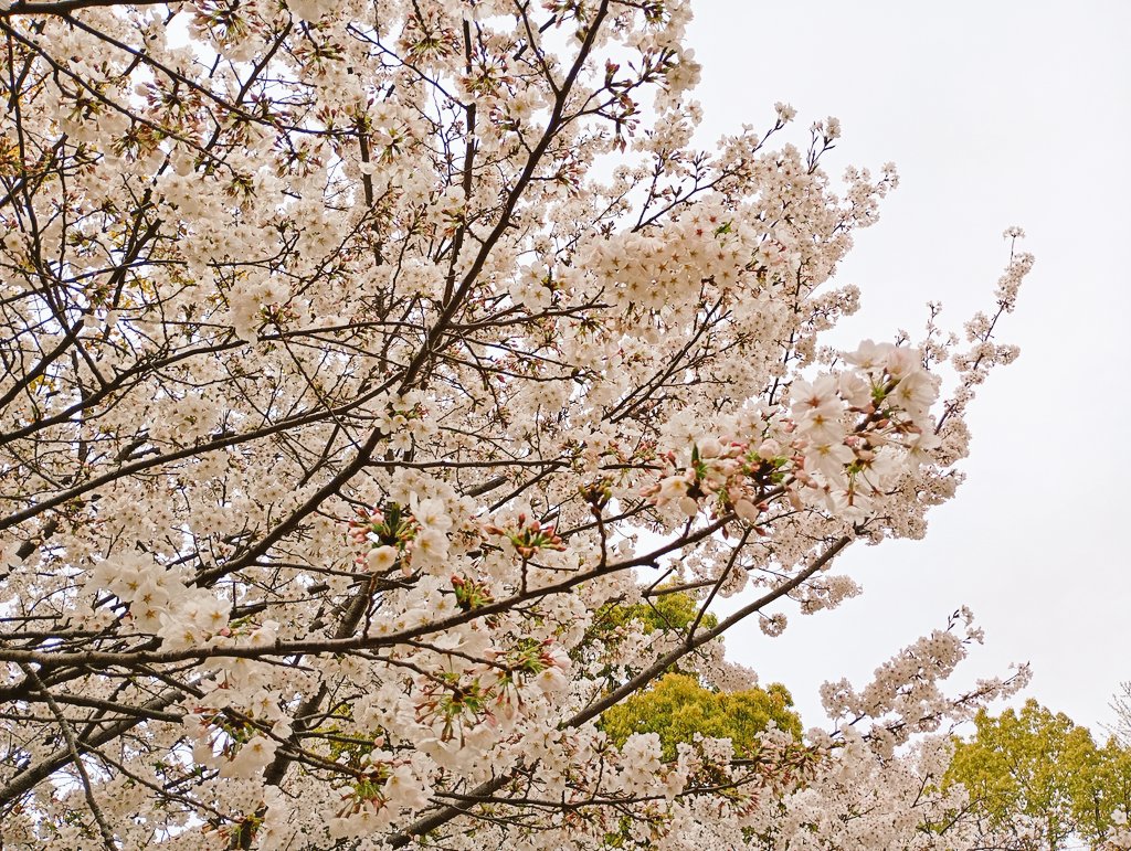 だいご@価値観マップ案内人 tweet media