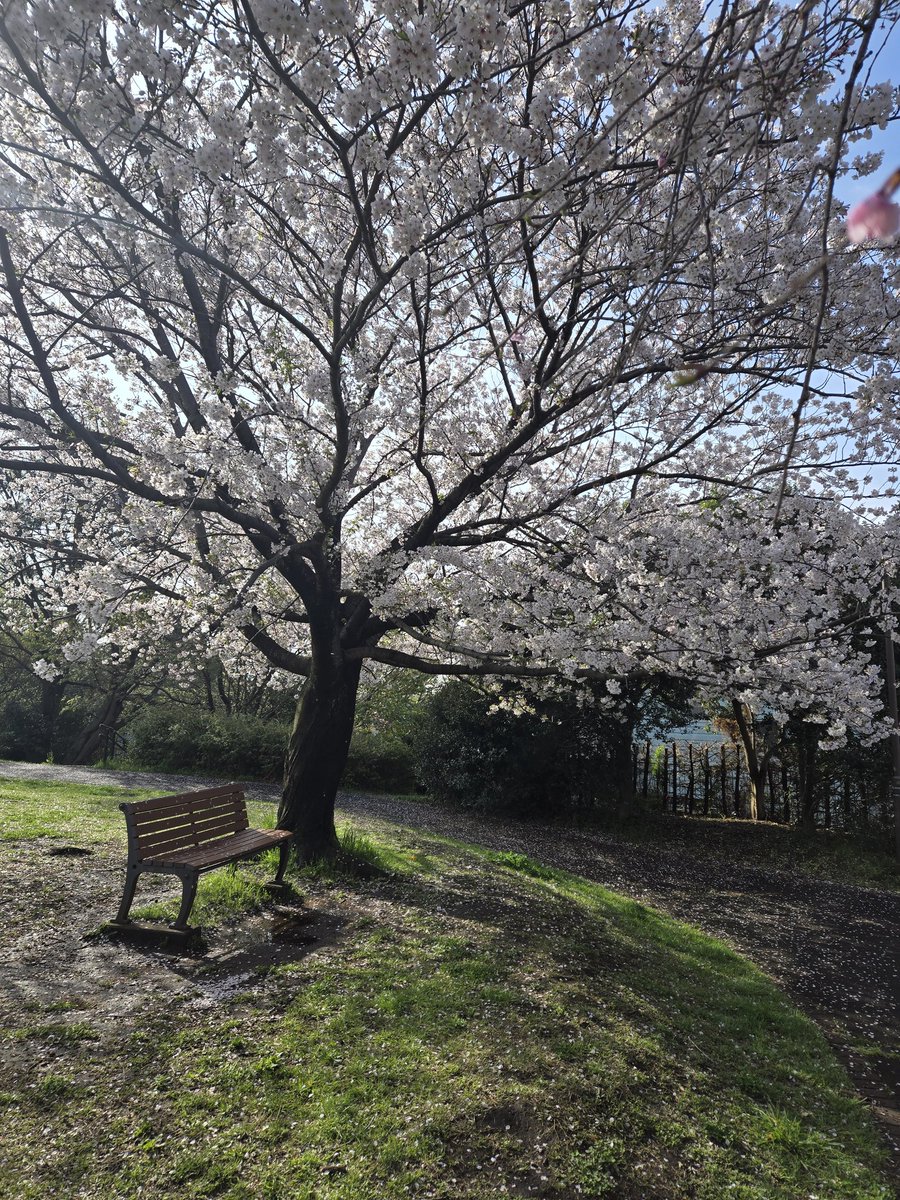 やみ根っこ@寝落ち常習犯 tweet media