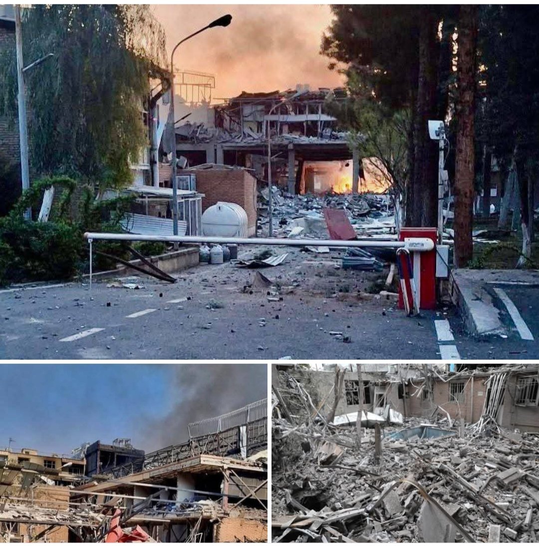 Targui🌴 tweet media