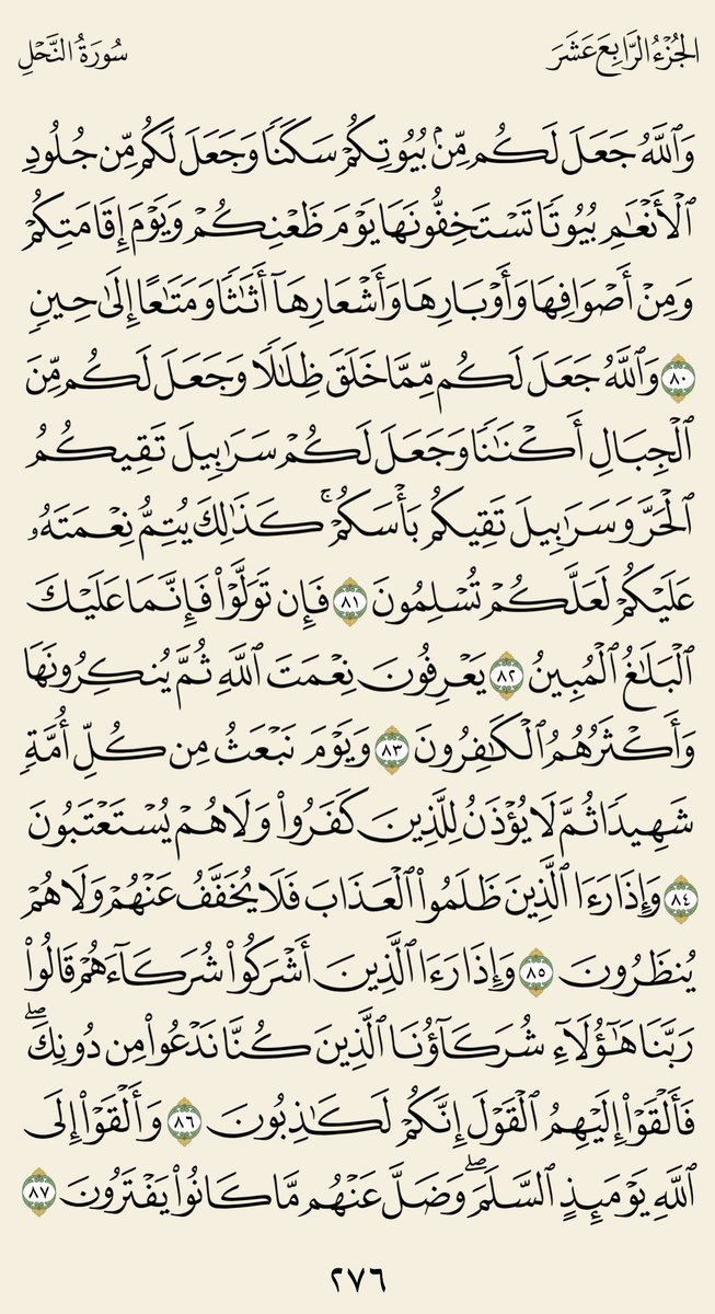 صفحةُ قرآن tweet media