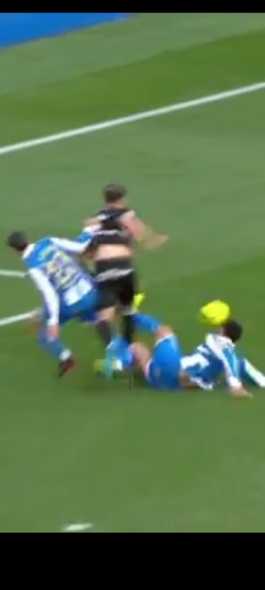 Perro Malaguista tweet media