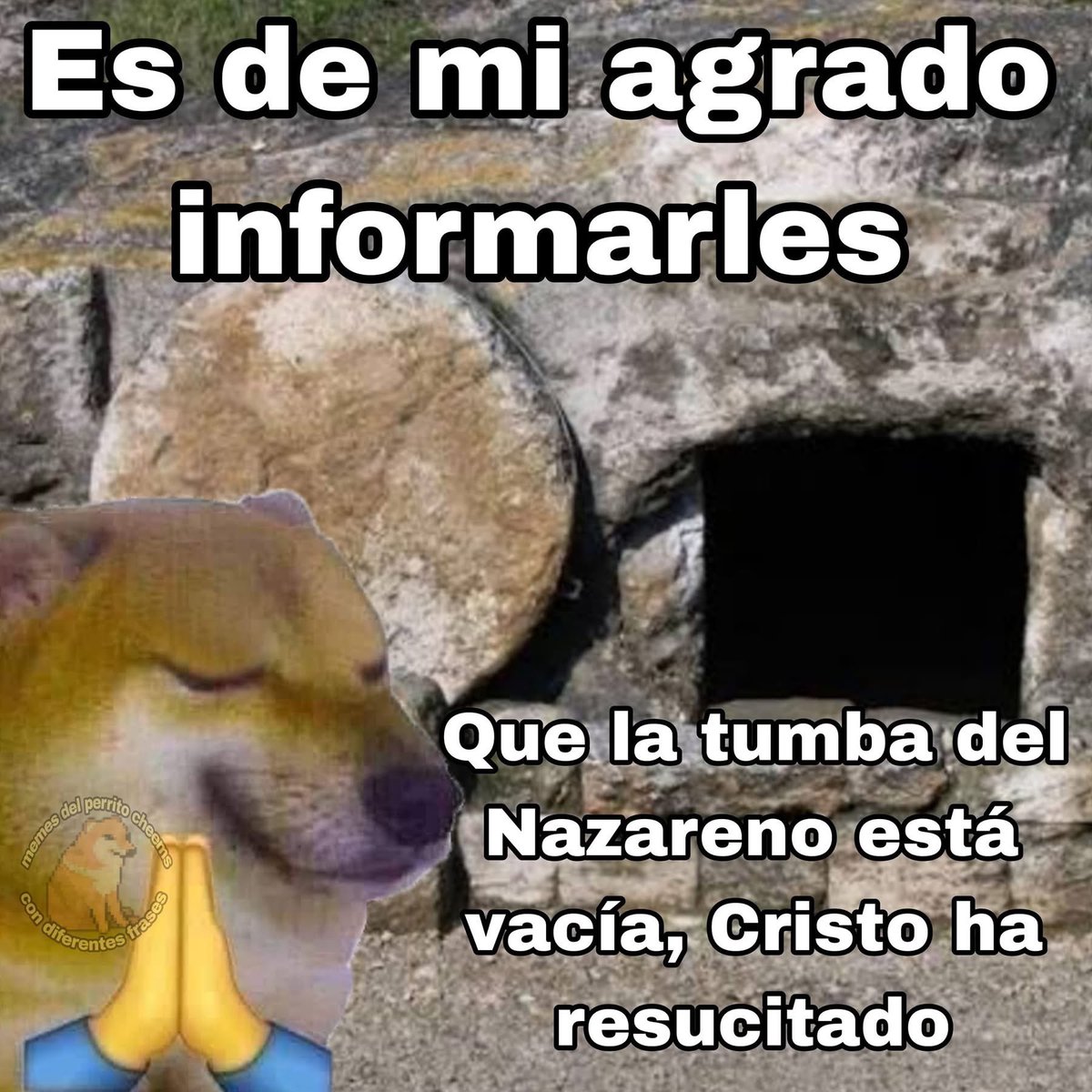 Memes Universidad Nacional tweet media