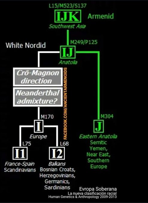 ANCIENT ARMENOIDS tweet media