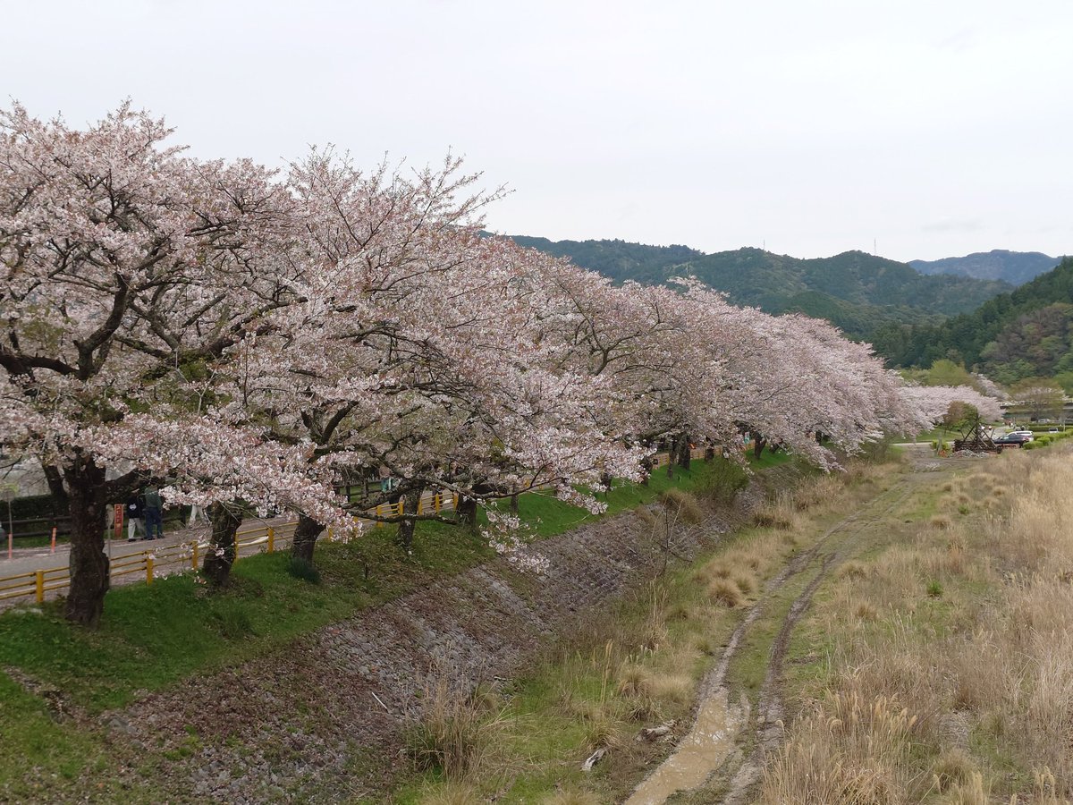 sugi0220's tweet photo. 天気悪かった〜 https://t.co/Lm77nBrIdx